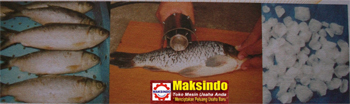 mesin sisik ikan mesin sisik ikan