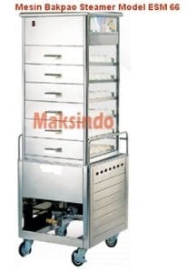 STEAMER ESM 66 tokomesin