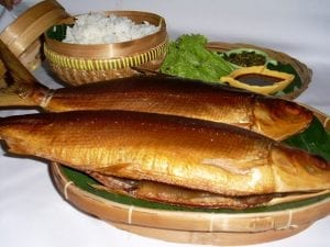mamaku-tokomesin