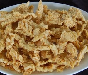 Jamur Crispytokomesin