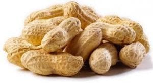 kacang tanah tokomesin -
