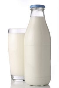 milchsaeurebakterien-milch-laktose tokomesin