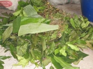 bahan-1 pupuk tokomesin