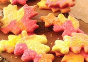 kue-kering-daun cookies tokomesin