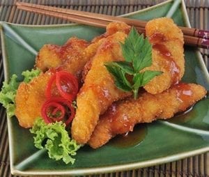 CHICKEN-KATSU tokomesin