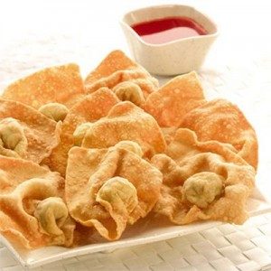 Pangsit-Goreng-China-300x300-tokomesin