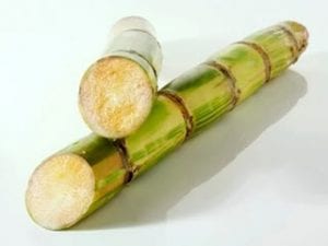 madu-tebu-tokomesin