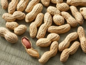 kacang-goreng-sangrai-tokomesin