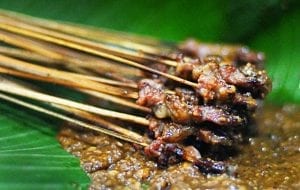 sate1 lalat tokomesin