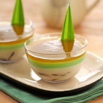 puding_susu_kedelai_pandan_tokomesin