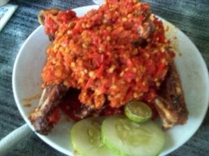 rica rica bebek tokomesin..