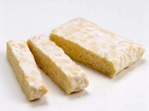 abon-tempe2-tokomesin