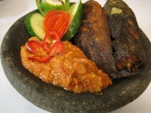 pecel lele lamongan-tokomesin