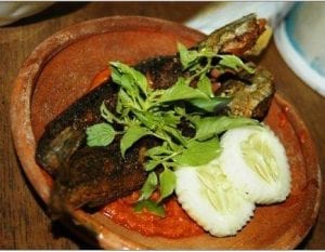 pecel lele lamongan2-tokomesin
