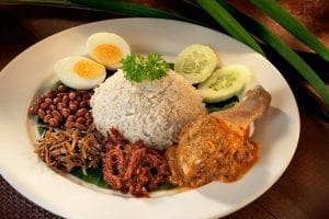 nasi-lemak2-tokomesin