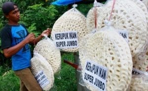 Peluang Bisnis Kerupuk jumbo dan Analisa Bisnisnya-tokomesin