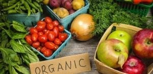 Peluang Usaha Makanan Organik dan Analisa Usahanya-tokomesin