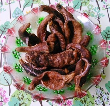 Kerupuk-Teripang- tokomesin