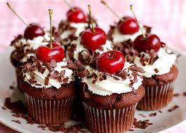 Peluang Usaha Black Forest Cupcake dan Analisa Usahanya