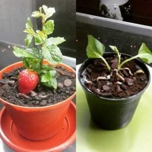 Peluang Usaha ES Krim Peluang Usaha Es Krim Pot dan Analisa Usahanya Toko Peluang Usaha ES Krim Peluang Usaha Es Krim Pot dan Analisa Usahanya Toko