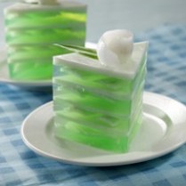 Peluang Usaha Puding Kelapa Muda dan Analisa Usahanya