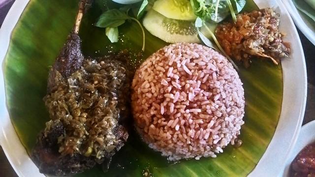 Peluang Bisnis Bebek Kaleyo dan Analisa Bisnisnya-tokomesin