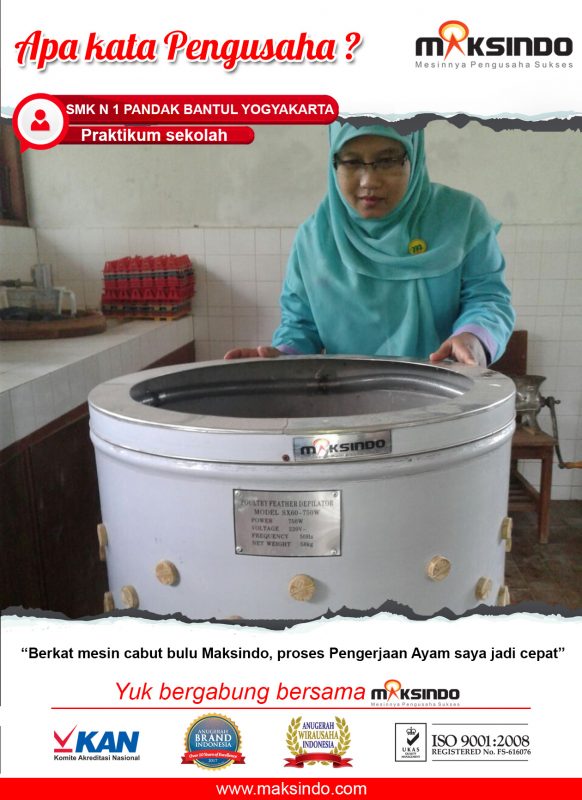 Mesin Pencabut Bulu Mempercepat Proses Pengerjaan Ayam