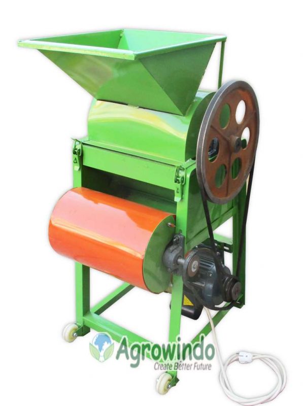 Cara Mengupas Kulit Kacang Kenari 1001 Cara Mengupas