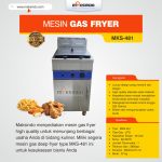 Mesin Gas Fryer MKS-481