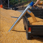 Mesin Screw Conveyor Portable Untuk Pindahkan Tepung dan Granule Agrowindo AGR-FS02