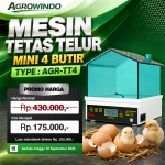 Tetas Telur Mini 4 Butir (AGR-TT4)