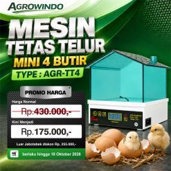 Tetas Telur Mini 4 Butir (AGR-TT4)