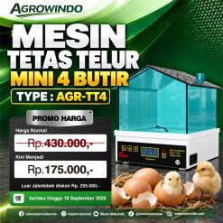 Tetas Telur Mini 4 Butir (AGR-TT4)